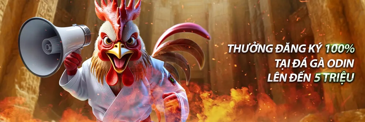 Dịch vụ hỗ trợ khách hàng 24/7 của tai sc88